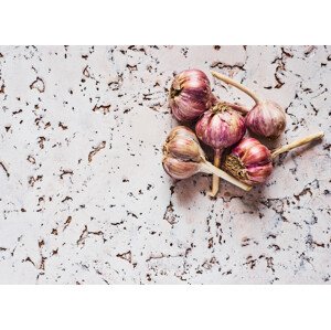 Fotografie Healthy garlic, Aleksandrova Karina, 40 × 30 cm