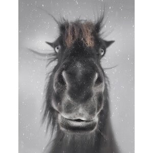 Fotografie Hey, Larry Deng, 30 × 40 cm