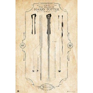 Plakát, Obraz - Harry Potter - The Wand, 61 × 91.5 cm