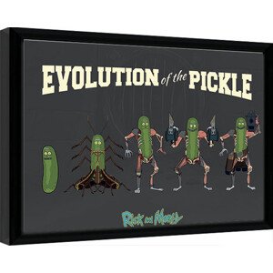 Obraz na zeď - Rick & Morty - Evolution Of The Pickle, 44.5 × 34.3 cm