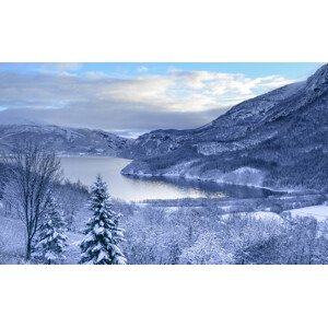 Fotografie the first snow, Caroline Strøksnes, 40 × 24.7 cm