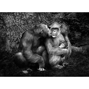 Fotografie Untitled, Juan Luis Duran, 40 × 30 cm