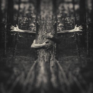 Fotografie do not break my tree, amir bajrich, 40 × 40 cm