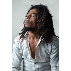 Plakát, Obraz - Bob Marley - Redemption, 61 × 91.5 cm