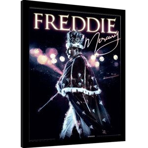 Obraz na zeď - Freddie Mercury - Royal Portrait, 30 × 40 cm
