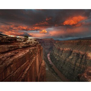 Fotografie Redemption, Chris Moore, 40 × 30 cm