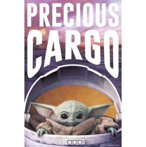 Plakát, Obraz - Star Wars: The Mandalorian - Precious Cargo, 61 × 91.5 cm