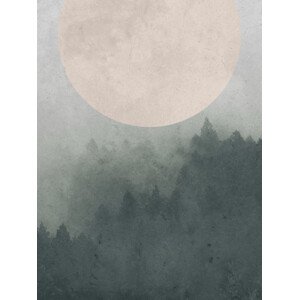 Ilustrace Moonbird, Finlay & Noa, 30 × 40 cm