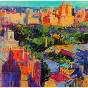 Obrazová reprodukce Above Central Park, Graham, Peter, 40 × 40 cm