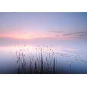 Fotografie Lake, keller, 40 × 30 cm