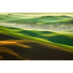 Fotografie Freedom...., Krzysztof Browko, 40 × 26.7 cm