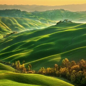 Fotografie Mucigliani..., Krzysztof Browko, 40 × 40 cm