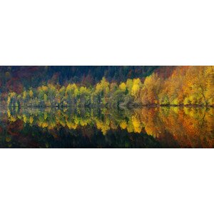 Fotografie Autumnal silence, Burger Jochen, 60 × 23.2 cm
