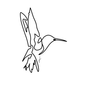 Ilustrace Colibri, Hugo Jurčík, 40 × 40 cm