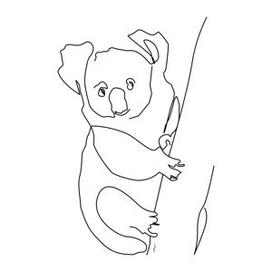 Ilustrace Koala, Hugo Jurčík, 40 × 40 cm