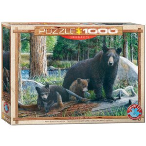 Puzzle Daniel - New Discoveries, 1000 ks