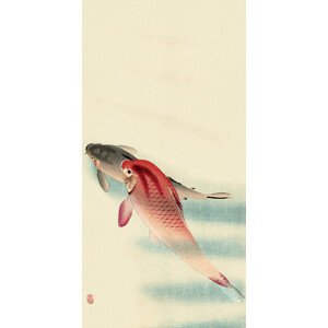 Obraz na plátně Ohara Koson - Two Carp, 2 - 30×60 cm