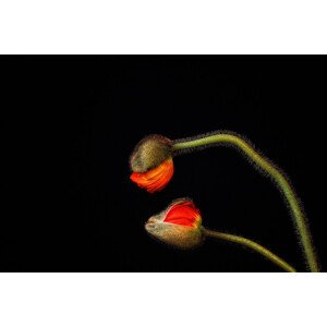 Fotografie Tango Argentino, Holger Droste, 40 × 26.7 cm