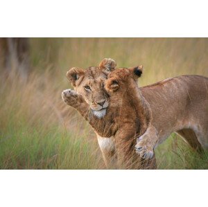 Fotografie Hugs, Jeffrey C. Sink, 40 × 26.7 cm