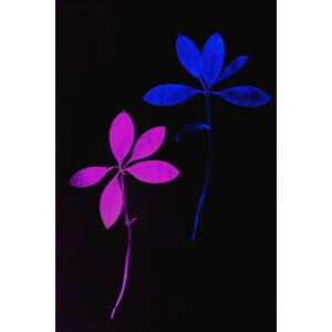 Ilustrace Acid flora, MadKat, 26.7 × 40 cm