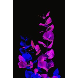 Ilustrace Acid flora 2, MadKat, 26.7 × 40 cm
