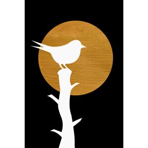 Ilustrace Bird, MadKat, 26.7 × 40 cm