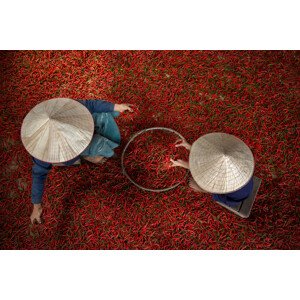 Fotografie Chilli, sarawut intarob, 40 × 26.7 cm