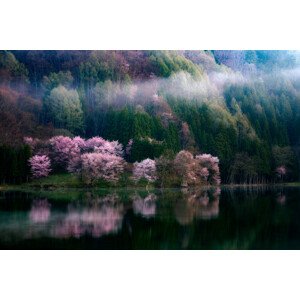 Fotografie In The Morning Mist, Takeshi Mitamura, 40 × 26.7 cm