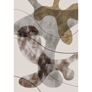 Ilustrace Brown Seaweed, Studio Collection, 26.7 × 40 cm