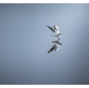 Fotografie Touchdown, david ahern, 40 × 40 cm