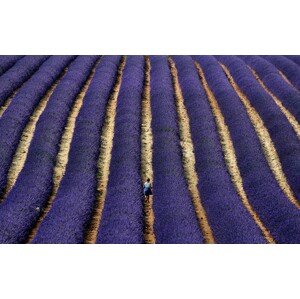 Fotografie Small steps between a world of blue lines, Claudio Moretti, 40 × 26.7 cm
