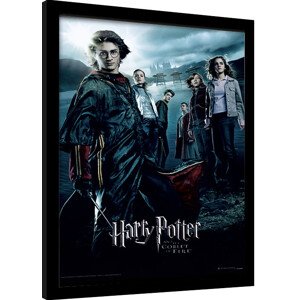 Obraz na zeď - Harry Potter - Ohnivý Pohár, 34.3 × 44.5 cm