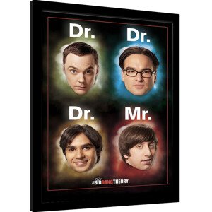 Obraz na zeď - The Big Bang Theory (Teorie Velkého Třesku) - Dr Mr, 34.3 × 44.5 cm