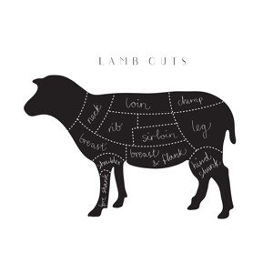 Ilustrace Lamb Cuts, Studio Collection, 40 × 26.7 cm