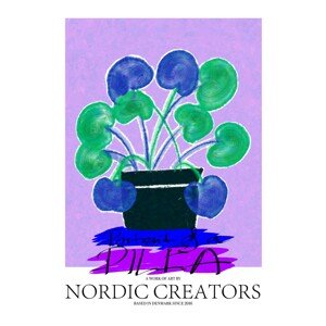 Ilustrace Portait of a Pilea, Nordic Creators, 30 × 40 cm