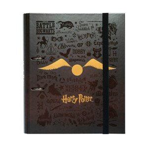 Pořadač na dokumenty Pořadač na dokumenty Harry Potter - Glasses