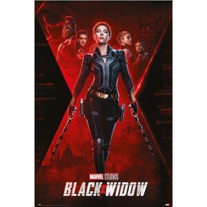 Plakát, Obraz - Black Widow - Nedokončený úkol, 61 × 91.5 cm