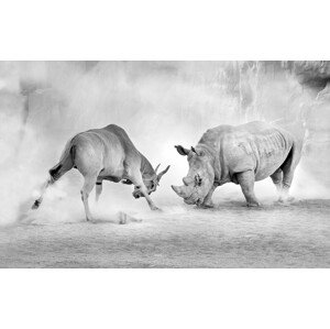 Fotografie Combat., Juan Luis Duran, 40 × 26.7 cm