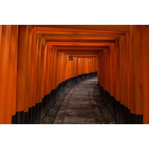 Fotografie Torri path, Pawel Majewski, 40 × 26.7 cm