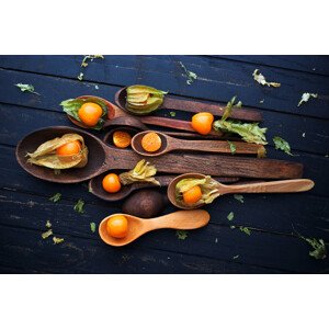 Fotografie SpoonsaPhysalis, Aleksandrova Karina, 40 × 26.7 cm