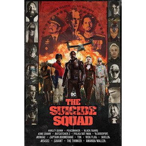 Plakát, Obraz - The Suicide Squad - Team, 61 × 91.5 cm