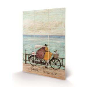 Dřevěný obraz Sam Toft - A Breath of Fresh Air, 20 × 29.5 cm