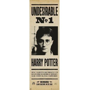 Plakát, Obraz - Harry Potter - Undersirable no. 1, 53 × 158 cm