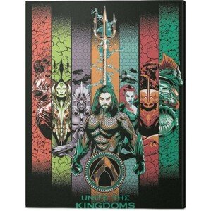 Obraz na plátně Aquaman - Unite the Kingdoms, 2 - 60×80 cm
