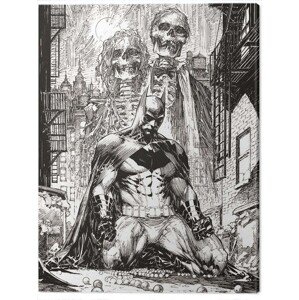 Obraz na plátně DC Comics - Batman Haunted, 2 - 60×80 cm