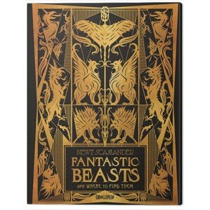Obraz na plátně Fantastic Beasts and Where to Find Them: The Crimes Of Grindelwald, 2 - 60×80 cm