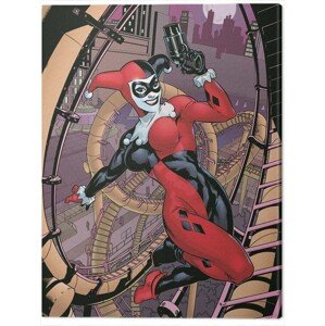 Obraz na plátně Harley Quinn - Rollercoaster, 2 - 60×80 cm