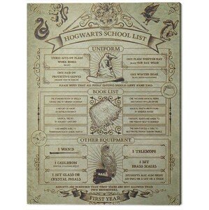 Obraz na plátně Harry Potter - Hogwarts School List, 2 - 60×80 cm