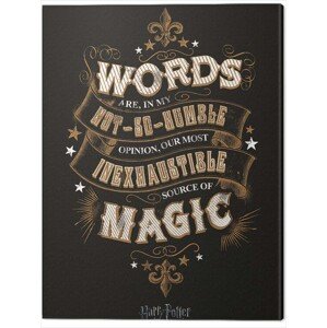Obraz na plátně Harry Potter - Words, 2 - 60×80 cm