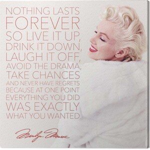 Obraz na plátně Marilyn Monroe - Nothing Lasts Forever, 2 - 40×40 cm